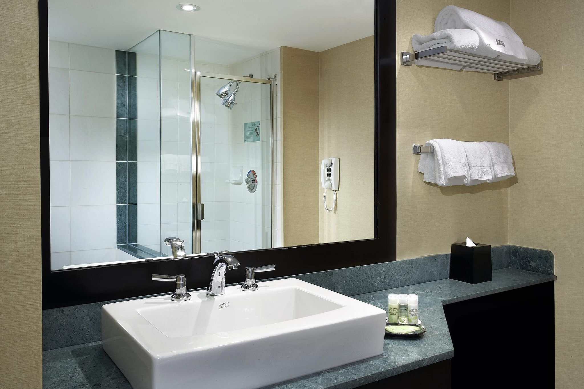 Westin Prince Bathroom